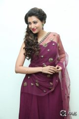 Hamsa Nandini at Bengal Tiger Movie Audio Launch